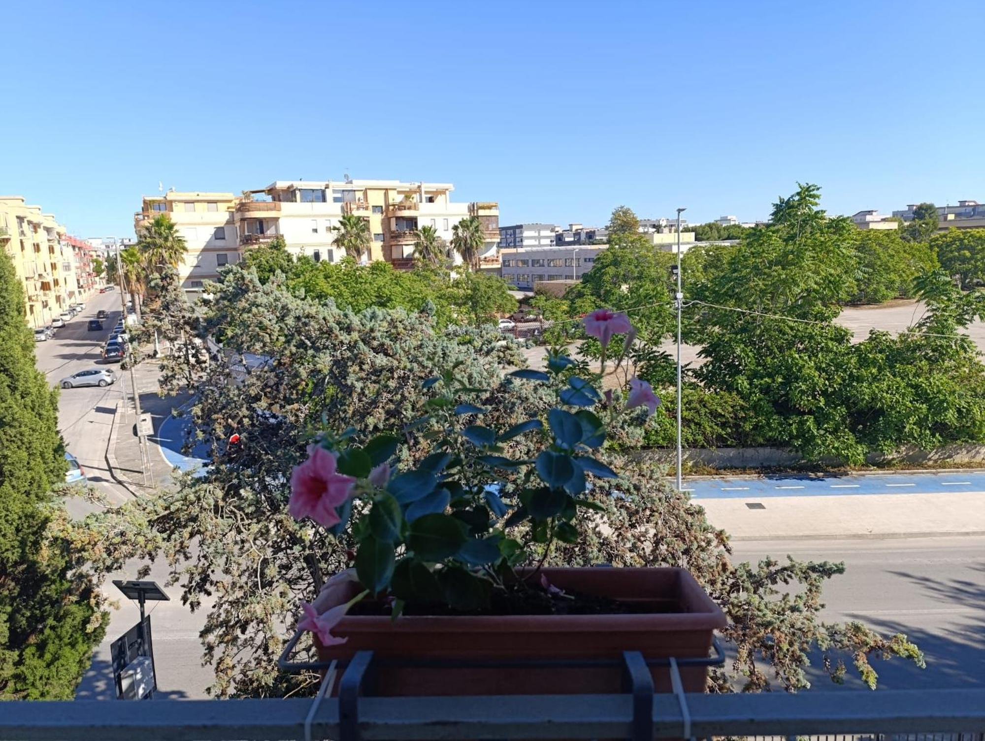 Le Rondini Apartman Trani Kültér fotó